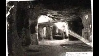 Thomas Castello A Dulce Base whistleblower