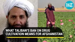 Taliban's ban on drug production a good news for Afghanistan and its neighbours?