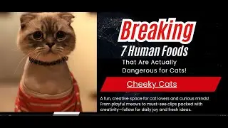 7 Human Foods That Are Actually Dangerous for Cats!