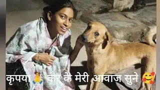 Bezubano ki aawaz 🥰🤗#familychannel #daillyvlog #streetdog #viral🔥🔥