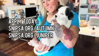 Juniper and Autumn Help Out at the Office!