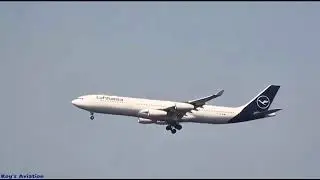 (Late Post) Lufthansa Airbus A340-313 Landing in Manila [D-AIFE] For maintenance at LTP #a340300 #LH