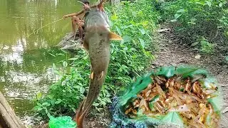 Really Amazing hook fishing 2022 | Using insect baits