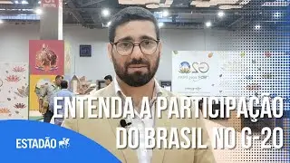 Lula na &Iacute;ndia: entenda a participa&ccedil;&atilde;o do Brasil e os interesses em jogo na c&uacute;pula do G-20