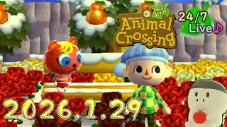 [164]とびだせどうぶつの森  24時間作業用 BGM 稀にゲームプレイ要素有  - ACNL 24/7 Hour Live  2026.1.29 18:38