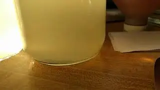 Water kefir gas formation 2