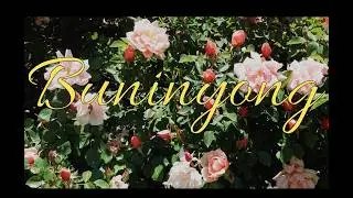 The Robbies - 'Buninyong' (Official Music Video)