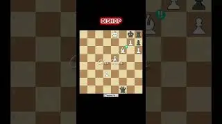 The Bishop Trap 🪤 | Chess Memes and Tricks #shorts #chess #bishop