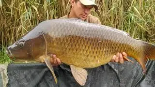 Short Vlog: Wynand's March 2018 African Gold Syndicate Session