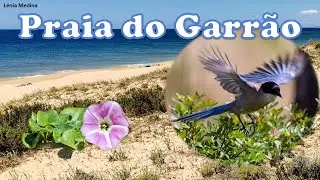 Praia do Garrão - Algarve - Portugal
