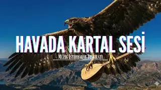 Havada Kartal Sesi | Müzik İstihbarat Teşkilatı