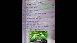 10 lines on my favorite Parrot 🦜/Essay on my favorite  bird  Parrot/#shorts #ytshorts #new #parrot