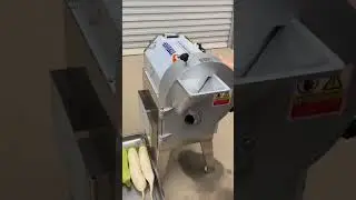 Amazing Vegetable Cutter Machine | Fast & Easy Pumpkin Slicer Technology#VegetableCutter