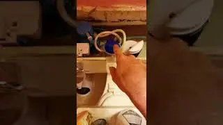 Never scrub auto bowl cleaner review