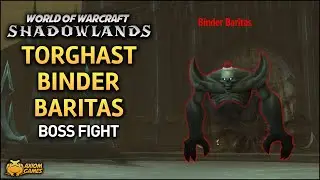 WoW: Shadowlands - Torghast Binder Baritas Boss Fight