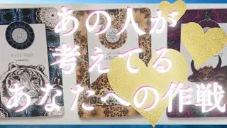 あの人が考えてるあなたへの作戦🦄💖個人鑑定級深掘り タロット🌞🌈