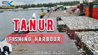 Tanur Fishing Harbour | Fish Mill Loading Point | Fish Truck Life | @SeakingVlog24