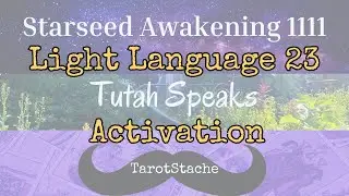 Light Language Activation: Igniting the Spark of Soul and Science