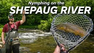 Nymphing the Shepaug River for Big Trout | Top Indicator Nymphing Tips!