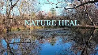 Relaxing | Nature Heal | Peaceful Reset.