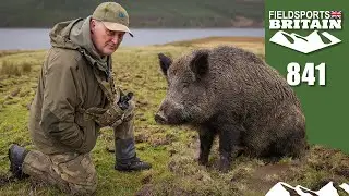 Fieldsports Britain &ndash; Hunting Highland hogs