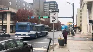 CTtransit 2008 New Flyer D35LF #803 on employee shuttle 