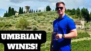 Discover Italy's Secret Wine Region!