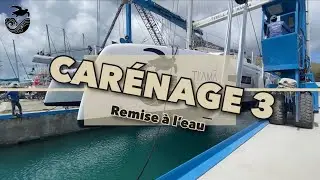 #69 - Remise &agrave; l&rsquo;eau de Ti&rsquo;amā apr&egrave;s son premier car&eacute;nage