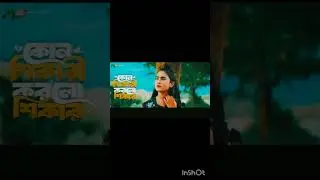 কোন শিকারী করলো শিকার আমার পোষা পাখিরে _kon sikari korlo sikar_ Maghla_bangla new sad song 2026#vair