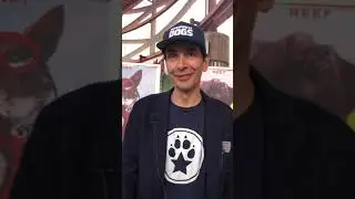 Interview with Taran Davies at Superpower Dogs World Premiere