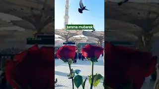#shorts#shortvideo #beautiful view#dua #islam @swalihaislamicchainal@HiTechIslamic@arvind zon