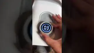 Halve Pet Drying Time with Smoother Results! 🐶✨#dogvideos #cutedog #dogcare #furries #homerunpet