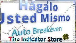 Hágalo Usted Mismo - Auto Break Even