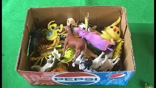 Learn Colors With Wild Animals and Sea Animals 🦀 Insect | Educational Toys For Kids