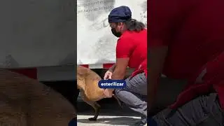 D&iacute;a Mundial del Animal 2024 | Gobierno del Estado de Quer&eacute;taro