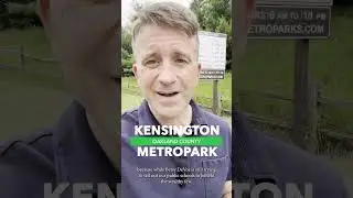 I&rsquo;m Running for Congress!