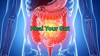 Why Gut Health Is the Key to Overall Well-Being | Digestion, Immunity & Mental Health Explained
