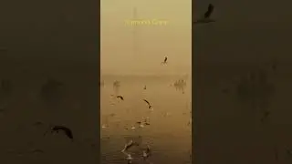 Yamuna ghat Delhi ||  shoot via #iphonex #yamunaghat #delhi #nature