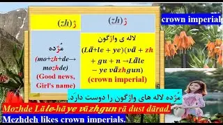 Lesson 31: Learning Persian on YouTube: The Letter ژ (Zh)