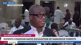 One-Day Stakeholder Engagement on Mangrove Governance in Niger Delta
