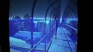 Fox40 - McDonald's Boycotters Take to the Freeway Overpasses