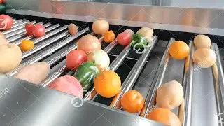 Fruit And Vegetable Sorting Grading Machine Commecial