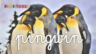 Pingwin