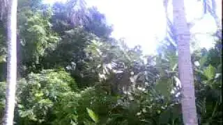 joyride6