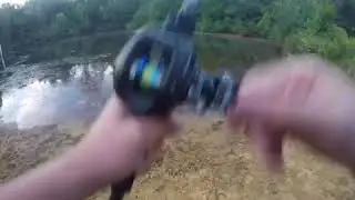 ardent reel 13 fate chrome rod