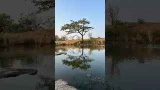 5-Minute Loving-Kindness Meditation | Metta Meditation for Calm & Compassion