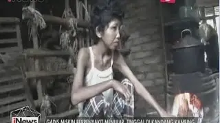 Gadis di Sumsel Terpaksa Diasingkan Orang Tuanya Ke Kandang Kambing - iNews Siang 23/03