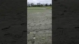 FOOTPRINTS 👣 IN THE MUD