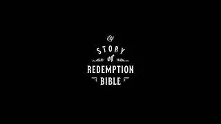 Introducing the Story of Redemption