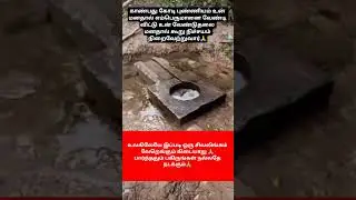அரியவகை சிவலிங்கம்🙏#indiangods #shiv#mahadev#hindudeity#god#ytshorts#shorts#viralvideo#trending#yt#🙏
